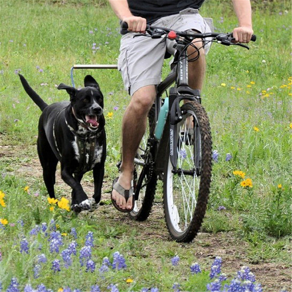 Bicycle Dog Leash | Hands-Free Dog Towing Traction Belt