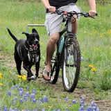 Bicycle Dog Leash | Hands-Free Dog Towing Traction Belt