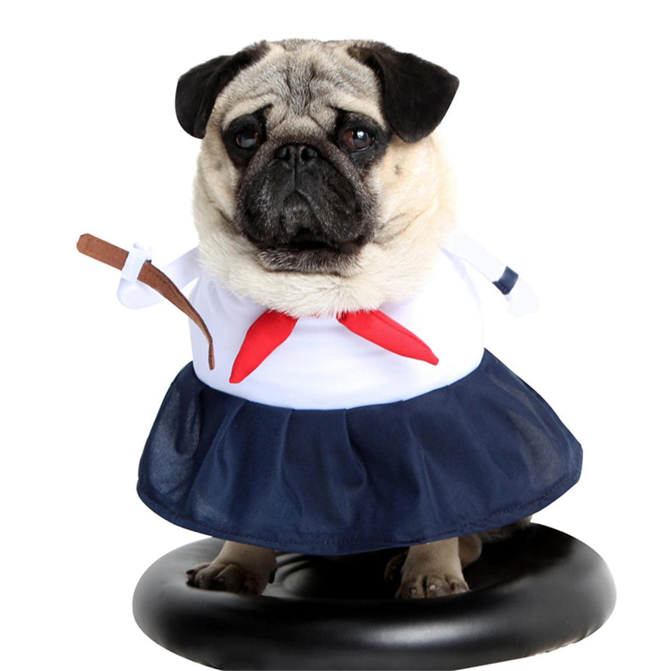 Pet Dog Transformation Outfit | Casual Wear for Small & Large Dogs