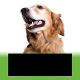 Dog Teeth Cleaning Powder | Fresh Breath & Oral Health for Pets