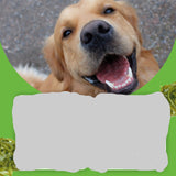 Dog Teeth Cleaning Powder | Fresh Breath & Oral Health for Pets