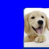 Natural Tartar & Breath Freshener