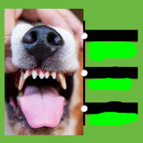 Dog Teeth Cleaning Powder | Fresh Breath & Oral Health for Pets