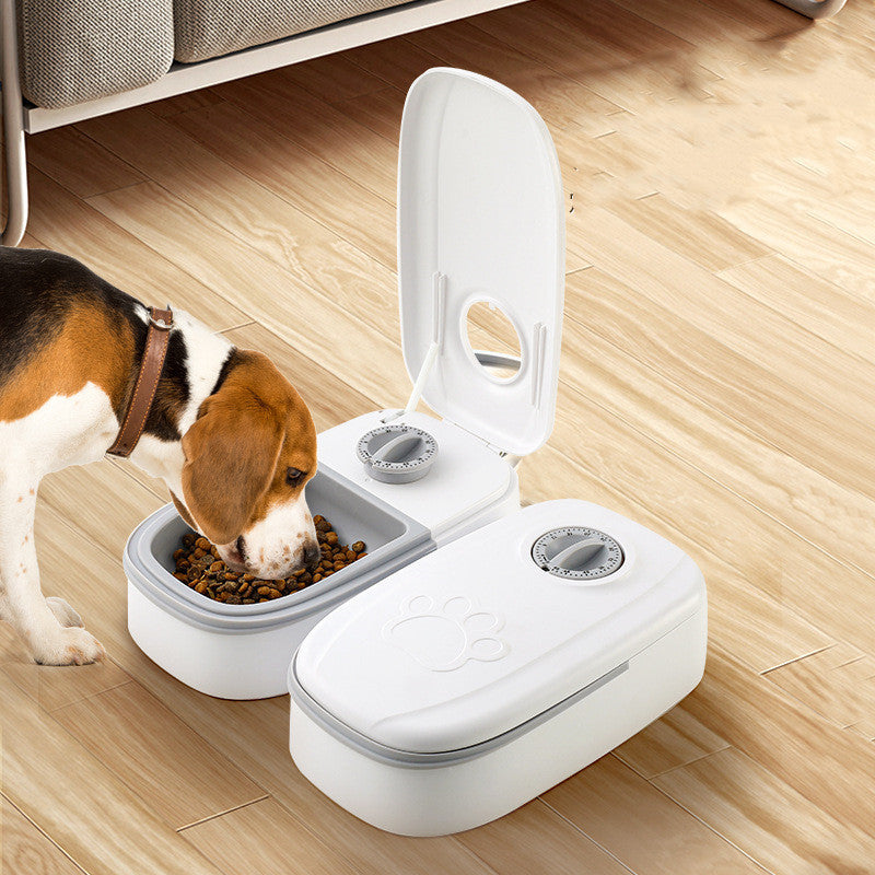 Automatic Pet Feeder & Water Dispenser | Smart Cat Dog Feeder