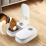 Automatic Pet Feeder & Water Dispenser | Smart Cat Dog Feeder