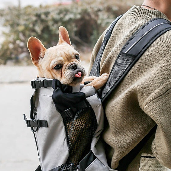 Dog Carrier Backpack – Portable Travel Backpack for Pets