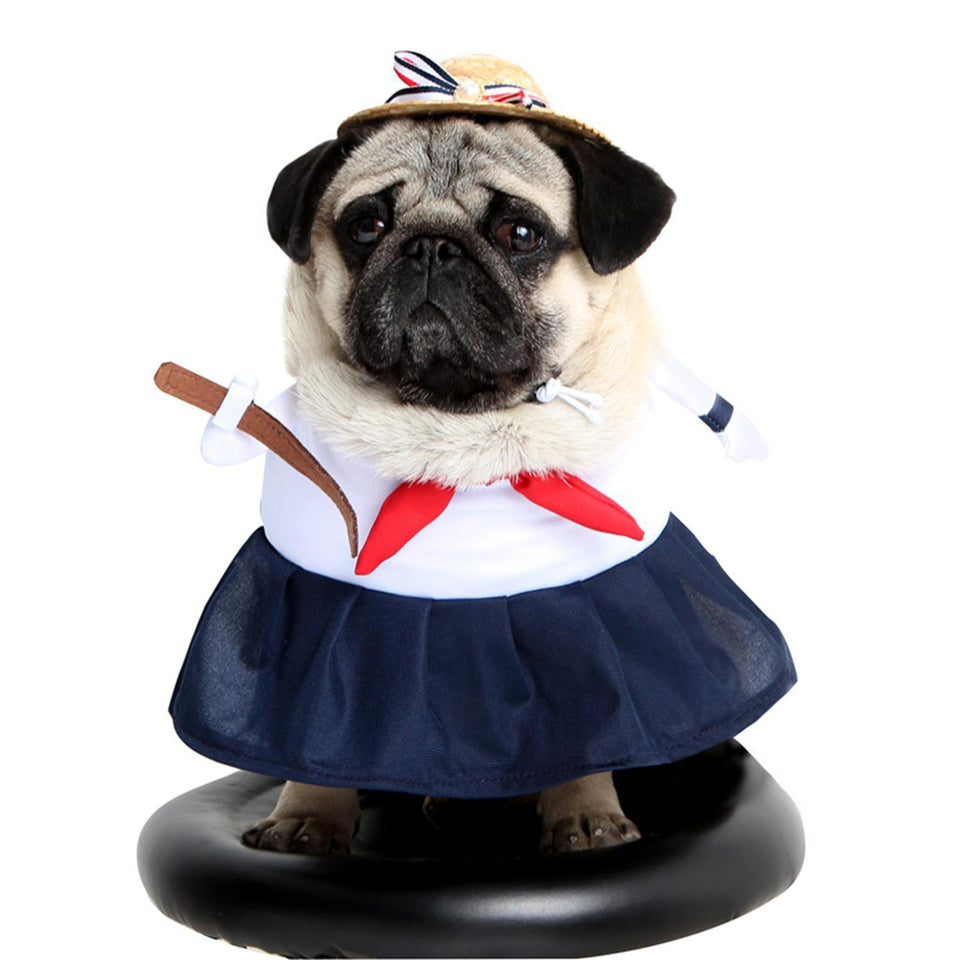 Pet Dog Transformation Outfit | Casual Wear for Small & Large Dogs