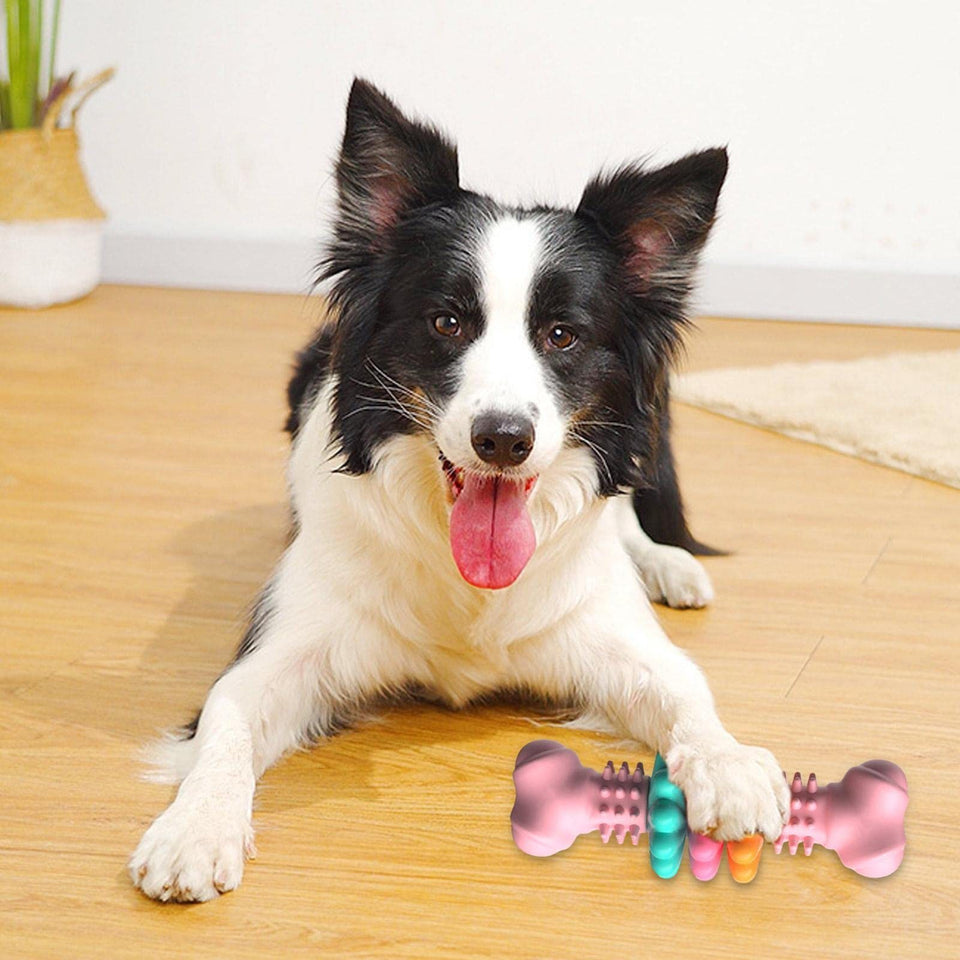 Dogs Teeth Cleaning Toys Indestructible