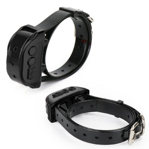 Dual Function Remote Dog Trainer | Safe & Effective Pet Training