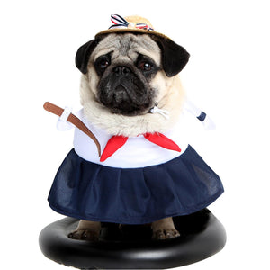 Pet Dog Transformation Outfit | Casual Wear for Small & Large Dogs